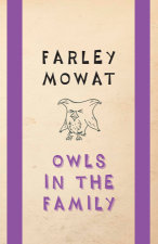 Owls in the Family