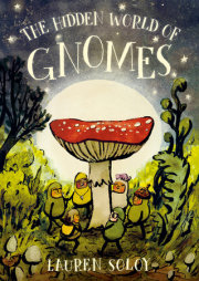 The Hidden World of Gnomes 