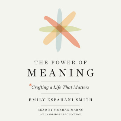 The Power of Meaning cover