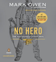 No Hero 