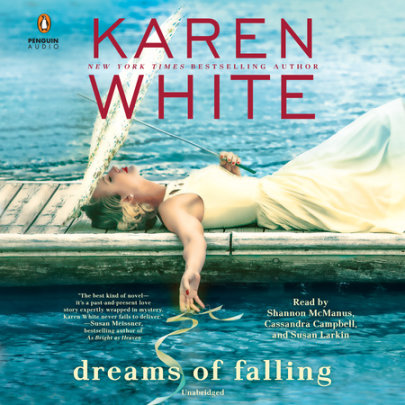 Dreams of Falling Cover