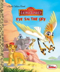 Book cover for Eye in the Sky (Disney Junior: The Lion Guard)
