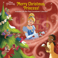 Book cover for Merry Christmas, Princess! (Disney Princess)