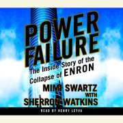 Power Failure 