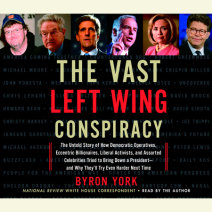 The Vast Left Wing Conspiracy Cover