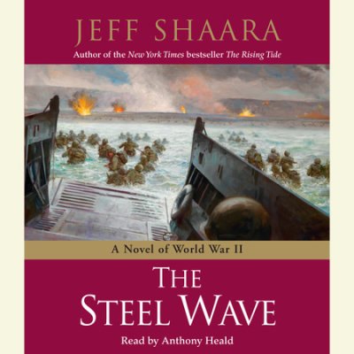 The Steel Wave cover