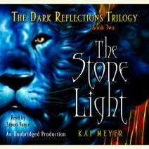 The Stone Light, The Dark Reflections: Book #2 Cover