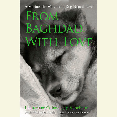 From Baghdad, With Love by Jay Kopelman, Melinda Roth