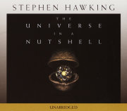 The Universe in a Nutshell 