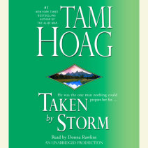 Taken by Storm Cover