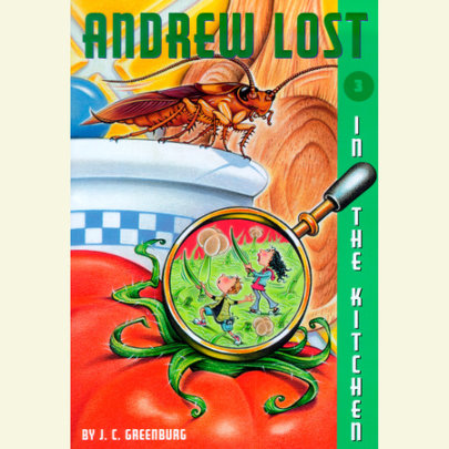 In the Kitchen Cover