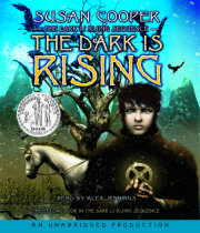 The Dark Is Rising 