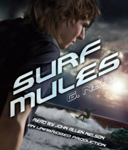 Surf Mules Cover