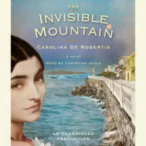 The Invisible Mountain Cover
