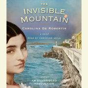 The Invisible Mountain