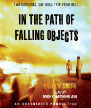 In the Path of Falling Objects Cover