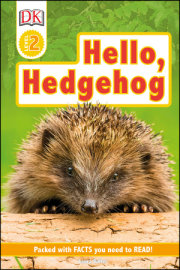 DK Readers Level 2: Hello Hedgehog 