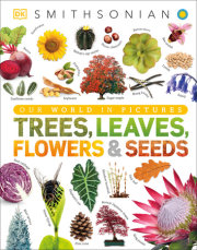 Trees, Leaves, Flowers and Seeds 