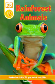 DK Reader Level 2: Rainforest Animals