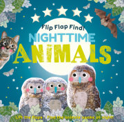 Flip Flap Find! Night-time Animals 