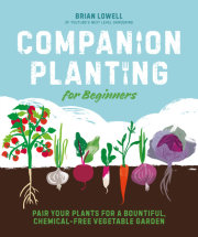 Companion Planting for Beginners 