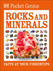 Pocket Genius: Rocks and Minerals 