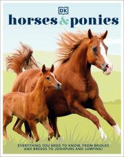 Horses & Ponies 