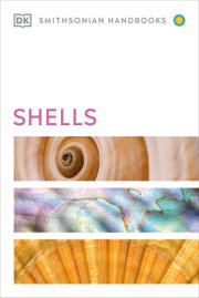 Shells 