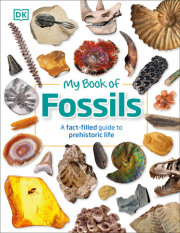 My Book of Fossils 