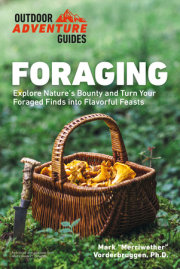 Foraging 