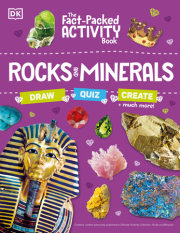 The Fact-Packed Activity Book: Rocks and Minerals 