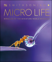 Micro Life 
