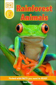 DK Reader Level 2: Rainforest Animals 