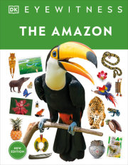 Eyewitness The Amazon