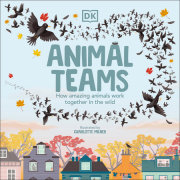 Animal Teams 