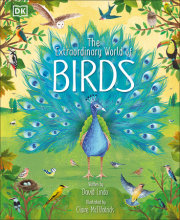 The Extraordinary World of Birds 