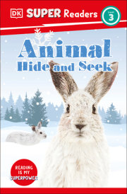 DK Super Readers Level 3 Animal Hide and Seek 