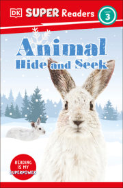 DK Super Readers Level 3 Animal Hide and Seek 