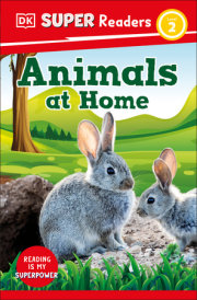 DK Super Readers Level 2 Animals at Home 