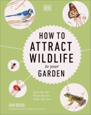 How to Attract Wildlife to Your Garden 