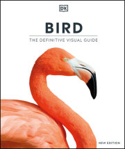 Bird, New Edition