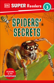 DK Super Readers Level 3 Spiders' Secrets 