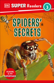 DK Super Readers Level 3 Spiders' Secrets 