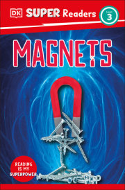 DK Super Readers Level 3 Magnets 