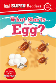 DK Super Readers Pre-Level What Starts in an Egg? 