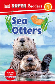 DK Super Readers Level 1 Sea Otters 