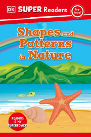 DK Super Readers Pre-Level Shapes and Patterns in Nature 