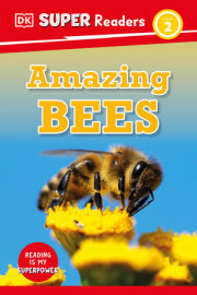 DK Super Readers Level 2 Amazing Bees 