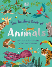 The Bedtime Book of Animals