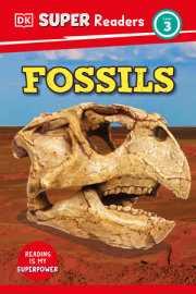 DK Super Readers Level 3 Fossils 